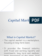 Chapter 1 Capital Markets