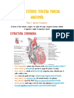 Guía de Estudio Anatomía Básica