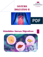 Clase 8 Histologia Digestivo II