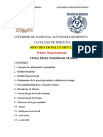 SALUD MENTAL Primer Departamental. Nochebuena