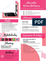 Perfil: Habilidades Idiomas Hobbies