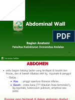 Anatomi Dinding Abdomen - Nur Syah