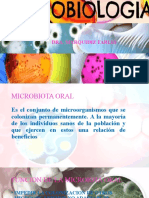 Microbiota Oral Clase 1 B