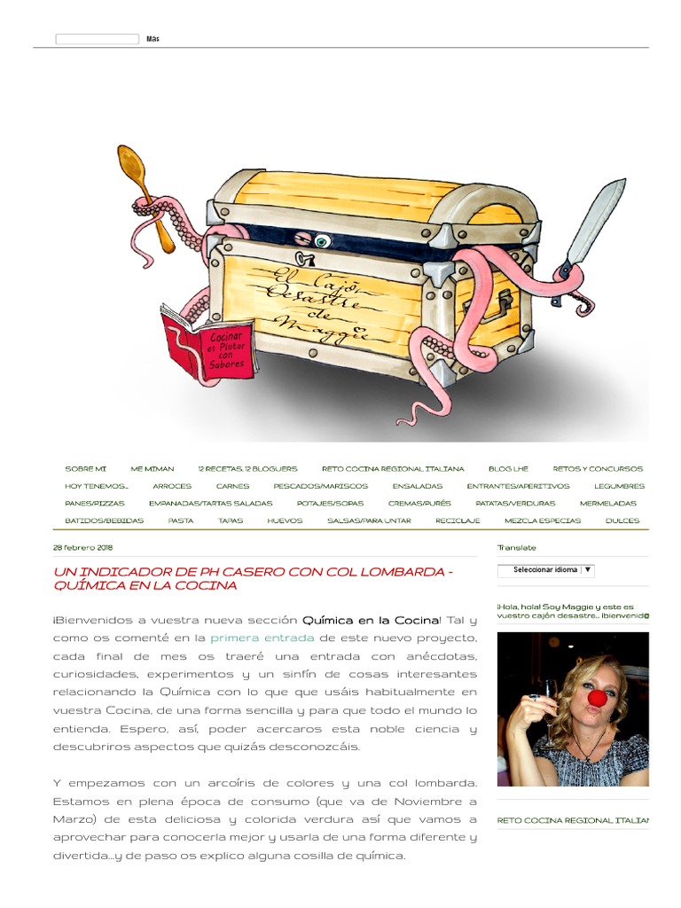 El Cajón Desastre de Maggie UN INDICADOR DE PH CASERO CON COL