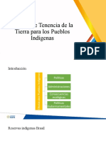 Modelo de Tenencia de la Tierra para los Pueblos Indígenas