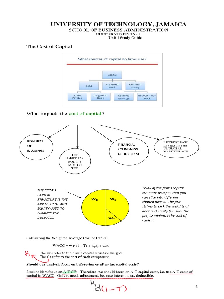 cost-of-capital-factors-pdf-net-present-value-cost-of-capital