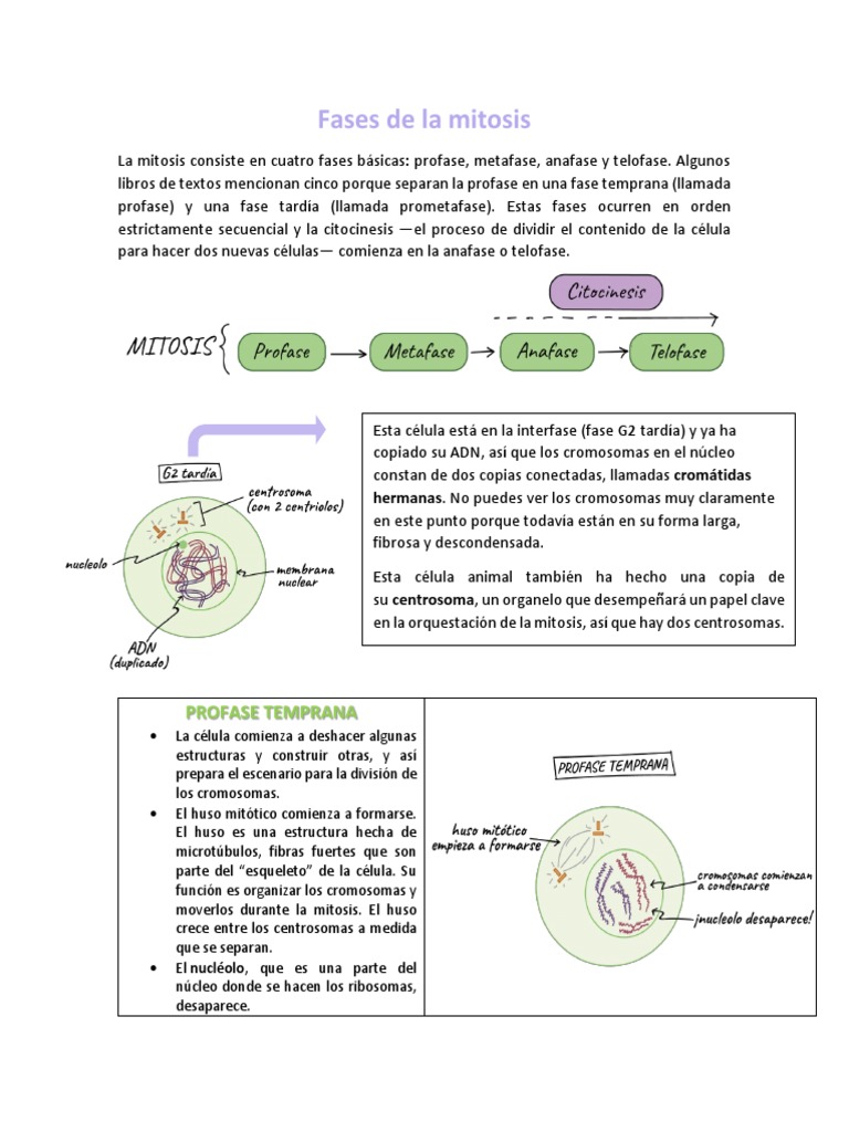 Installation & Delivery Area visual data 5