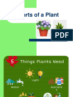 5DK Parts of A Plant