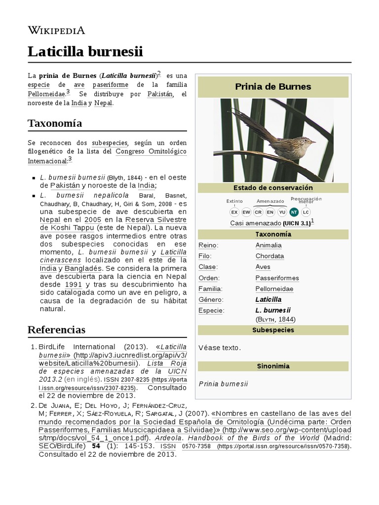 Laticilla Burnesii PDF Aves Ornitología