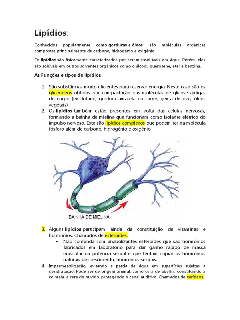 Os Principais Tipos E Fun Es Dos Lip Dios Pdf