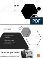 2E4 Xerox Privet Rausis Exposé