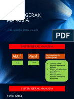 Sistem Gerak Manusia