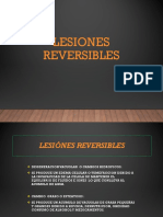 Lesiones Rev - Irrev.upeu Feb 2023