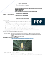 Subîncrengătura gimnosperme pdf