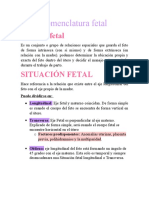 Nomenclatura Fetal