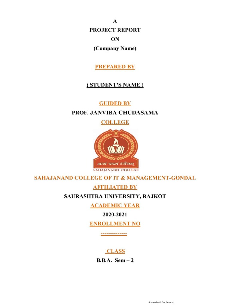 Project Details BBA Sem-2 | PDF