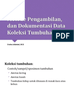 1.3 Metode Pengambilan Dan Dokumentasi Data Koleksi Tumbuhan