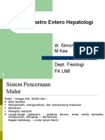 Blok Gastro Entero Hepatogi