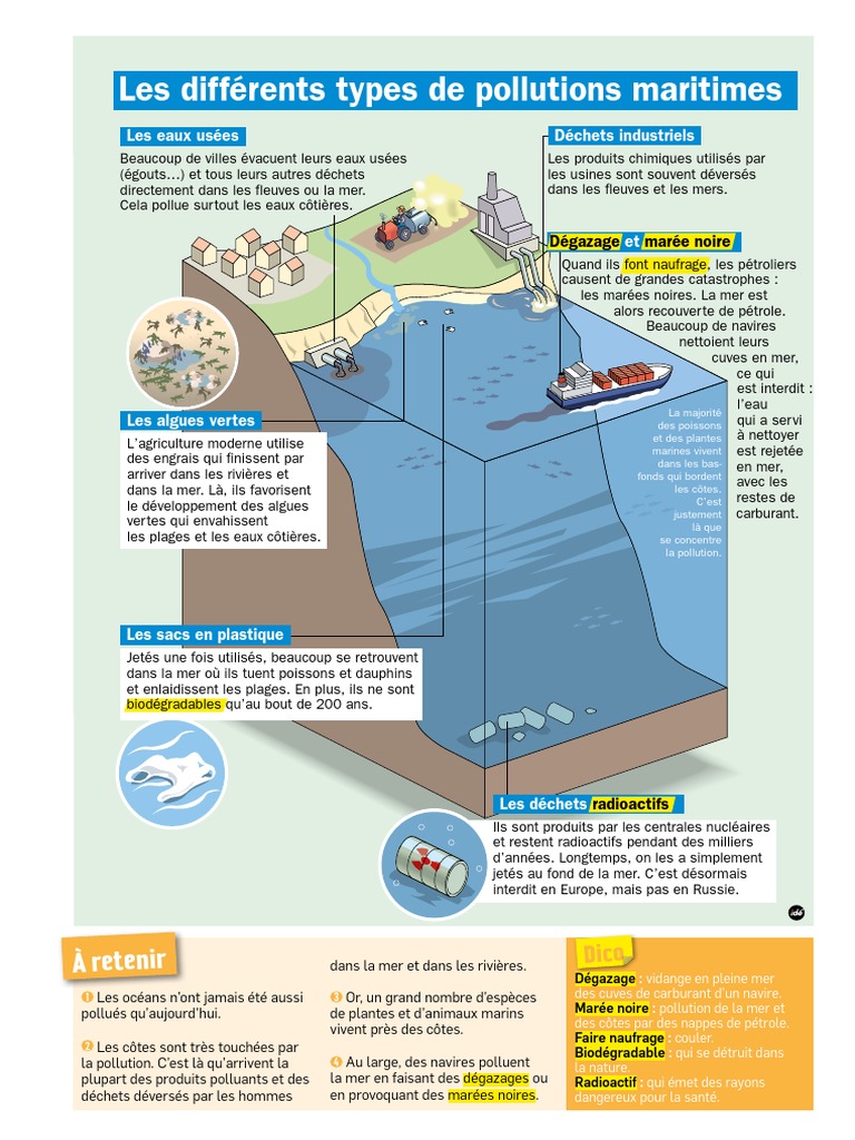 Types de pollution marine expliqués | PDF | Marée noire | la pollution