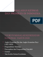 Permasalahan Promkes Di Indonesia