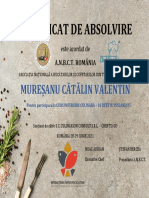 certificat absolvire MURESANU CATALIN VALENTIN v2