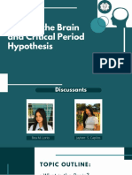 Parts of The Brain Critical Period Hypothesis