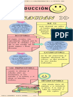 Infografía Sensacion