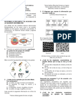 Prueba Diagnostico 6°