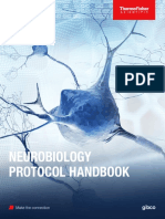 Gibco Neurobiology Protocol Handbook Withcover 2021