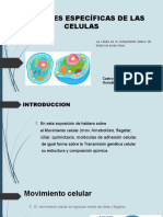 Fisiologia 2