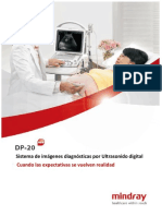 DP20 Brochure Español