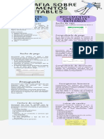 Infografia Documentos Contables