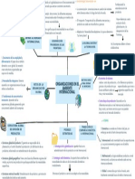 Organizacionez en El Ambiente Internacional