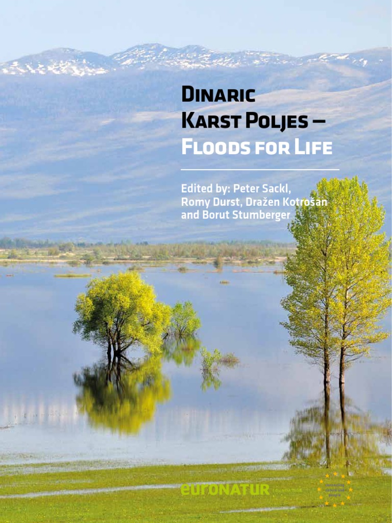 Kraška Polja Bosne I Hercegovine | PDF | Wetland | Water
