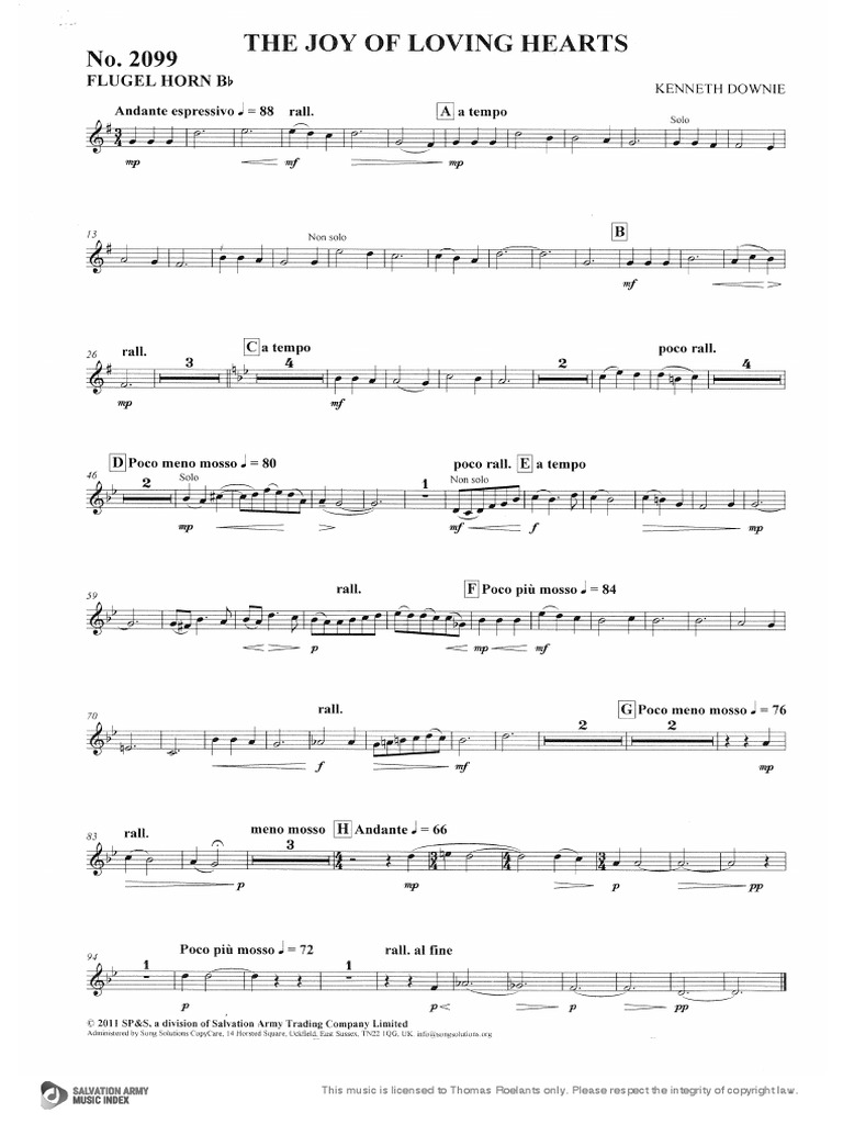 The Joy of Loving Hearts Downie (Gesleept) PDF