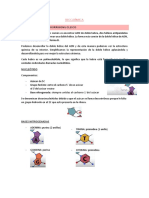 ADN-Estructura,replicación y transcripción de la molécula portadora de la información genética