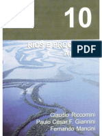 10 Rios e Processos Aluviais