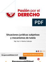 Situaciones Jurídicas Subjetivas y Mecanismos de Tutela PDF Gratis