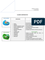 Cuadro Comparativo