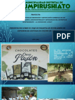 Cultivo de Cacao Present.