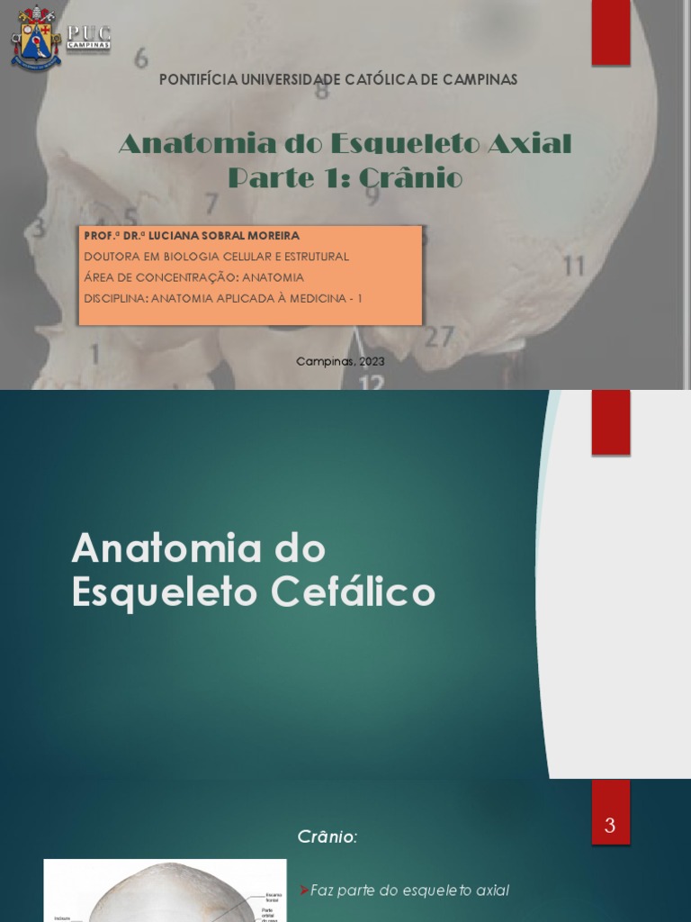 Aula3 Anatomia Do Esqueleto Axial Crânio Med Pdf Crânio