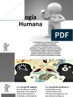 Morfologia Humana Exposicion (Autoguardado)