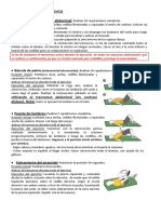 Estiramientos Movilidad Lumbar