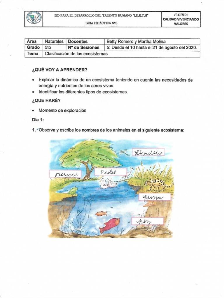 NATURALES TEMA 6 Resuelto | PDF
