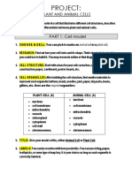 Plantandanimalcellmodels Year 7 Rubric 1