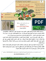 Bulletin phytosanitaire désherbage chimic 15-01-2023 cor