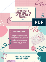Estructura Histologica de La Glandula Pineal