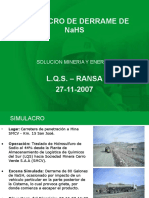 Presentacion Simulacro NaHS-20071127