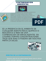 La Contaminación Ambiental