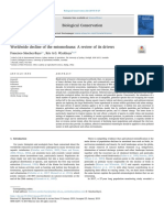 Worldwild decline of Entomofauna